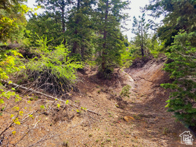 36  SKY HAVEN MOUNTAIN RETREAT Duck Creek Village, UT 84762