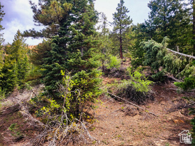 36  SKY HAVEN MOUNTAIN RETREAT Duck Creek Village, UT 84762