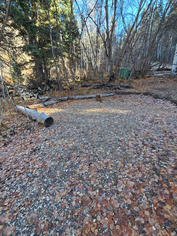 827 E NORTH FORK RD Fairview, UT 84629