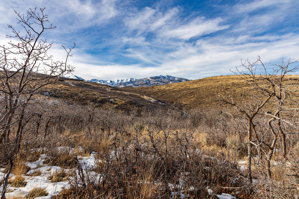 16080 S STEP VIEW LN Herriman, UT 84096