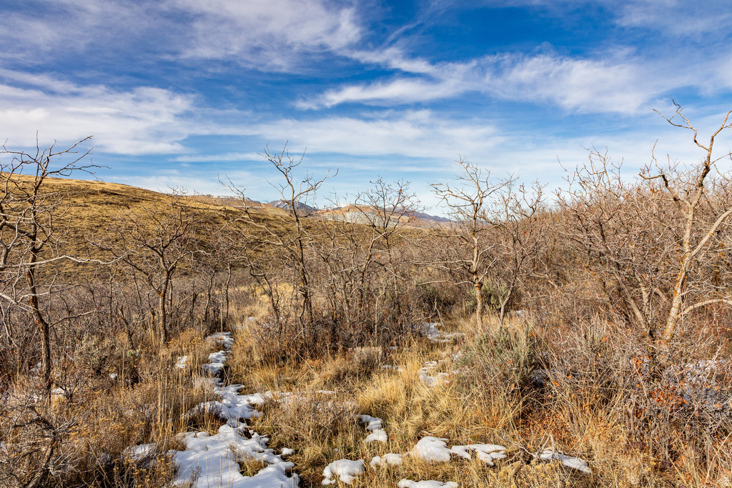 16080 S STEP VIEW LN Herriman, UT 84096
