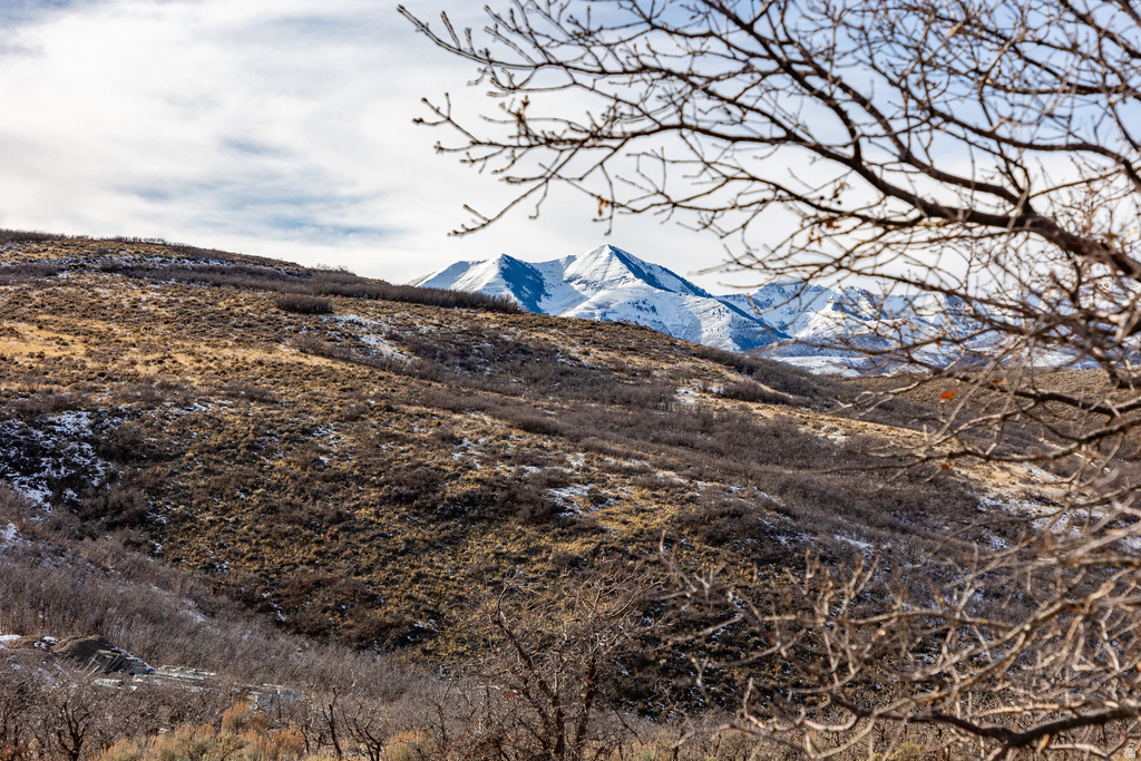 16080 S STEP VIEW LN Herriman, UT 84096