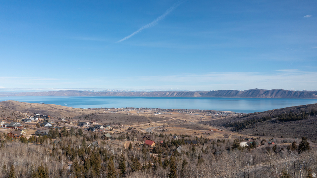 1175 S CHOKE CHERRY DR Garden City, UT 84028