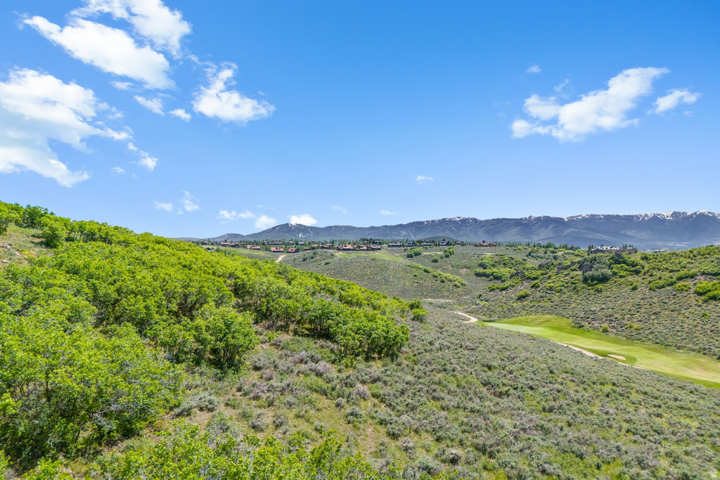 3078  DAYDREAM CT Park City, UT 84098