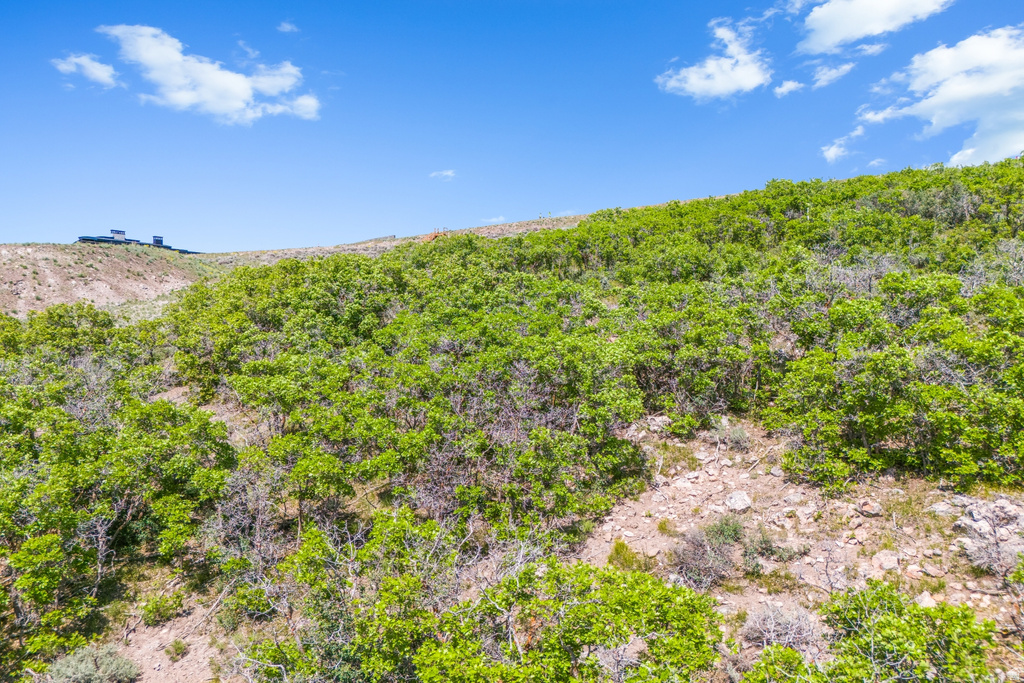 3078  DAYDREAM CT Park City, UT 84098