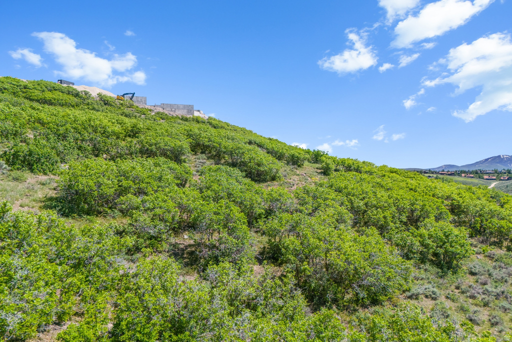 3078  DAYDREAM CT Park City, UT 84098