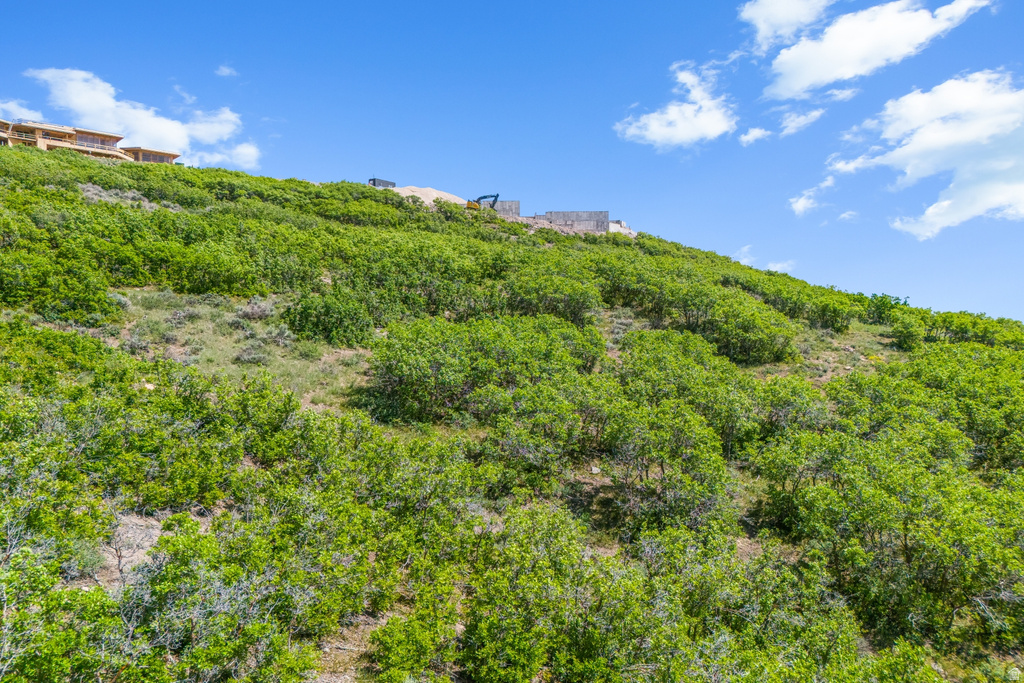 3078  DAYDREAM CT Park City, UT 84098