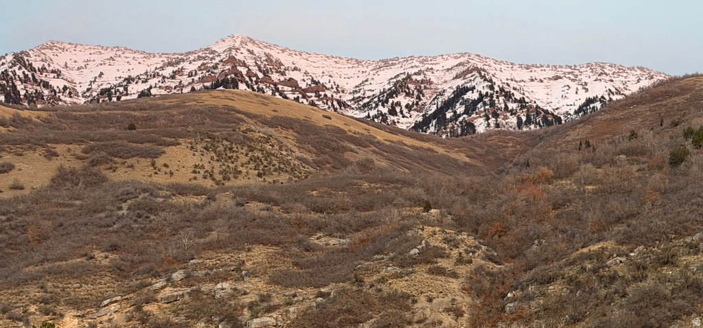 1085 E WINDSOR DR Provo, UT 84604