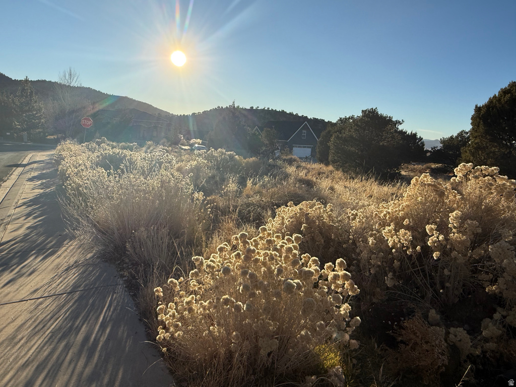 1093 E SMOKEY WAY Cedar City, UT 84721