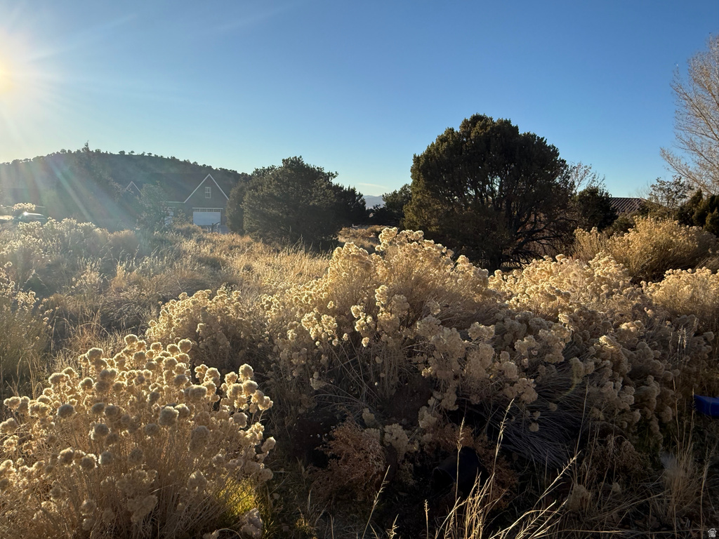 1093 E SMOKEY WAY Cedar City, UT 84721