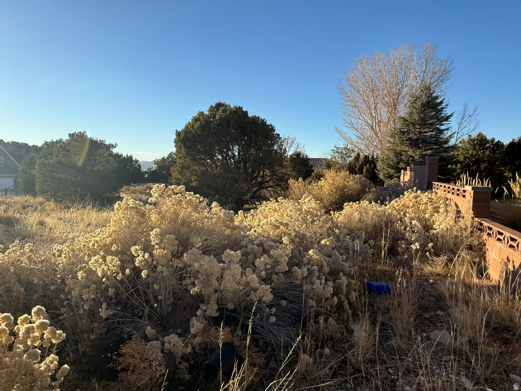 1093 E SMOKEY WAY Cedar City, UT 84721