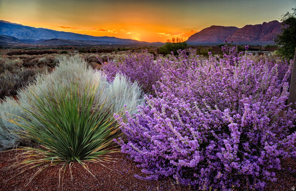 864 N SIHU WAY Ivins, UT 84738