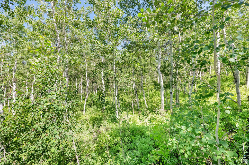 2821 S DEER RUN RD #1011C Heber City, UT 84032