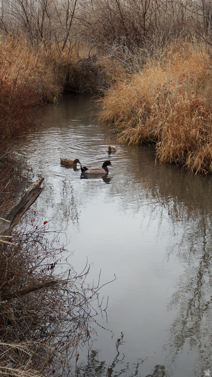 715 S 300 W Vernal, UT 84078