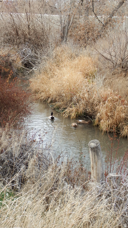 715 S 300 W Vernal, UT 84078