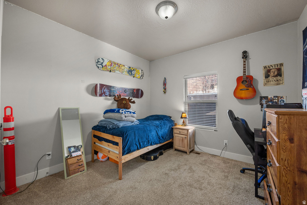 942 E 270 S Santaquin, UT 84655