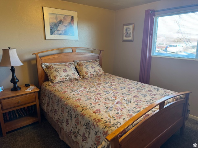 196 S BLUE DR Monticello, UT 84535