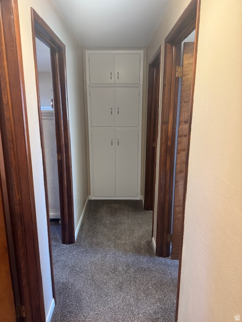 196 S BLUE MOUNTAIN DR Monticello, UT 84535