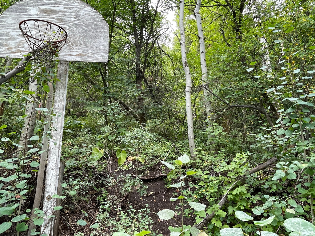 6071 N SHADYSIDE DR #7 Provo Canyon, UT 84604