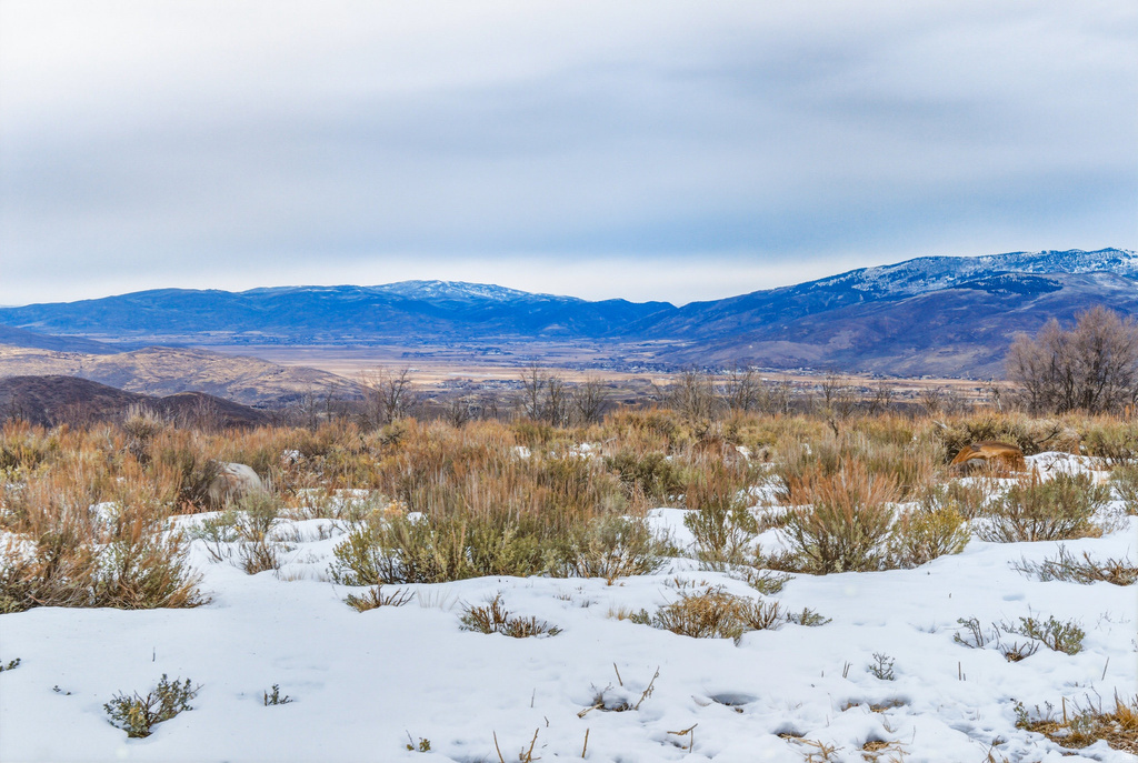 2173 N WESTWARD HO RD Heber City, UT 84032