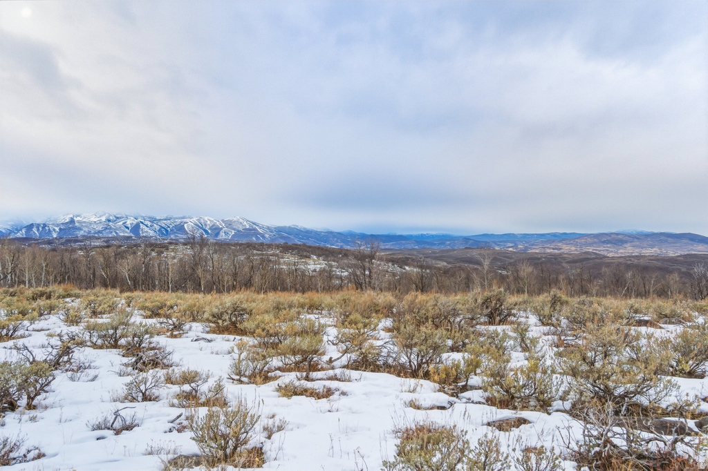 2173 N WESTWARD HO RD Heber City, UT 84032