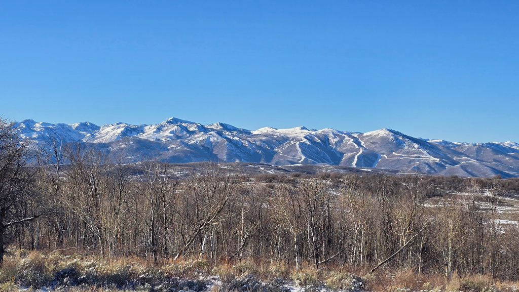 2173 N WESTWARD HO RD Heber City, UT 84032