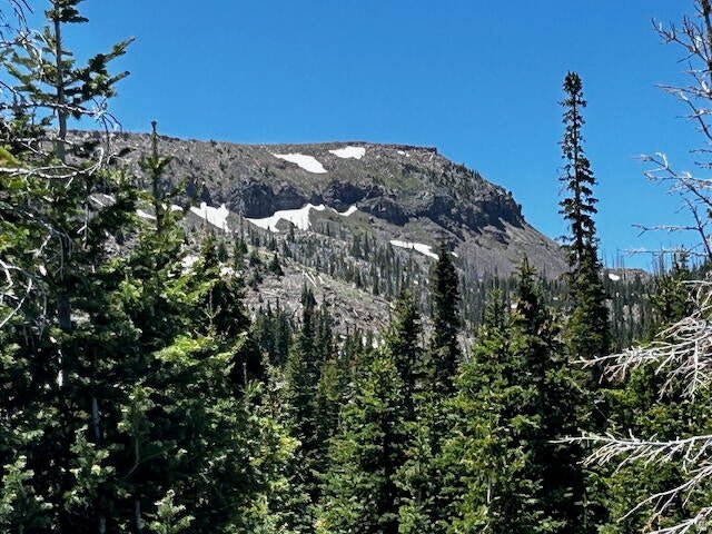 115 S OLYMPIC DR Brian Head, UT 84719