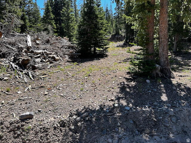 115 S OLYMPIC DR Brian Head, UT 84719