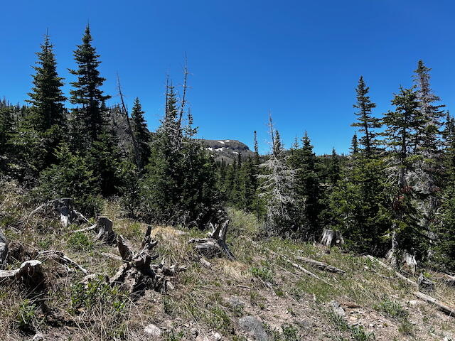 115 S OLYMPIC DR Brian Head, UT 84719