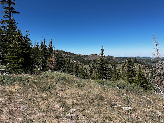 115 S OLYMPIC DR Brian Head, UT 84719