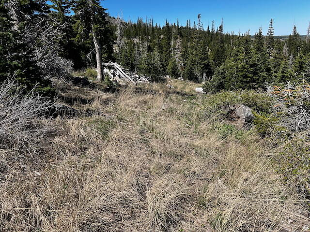 115 S OLYMPIC DR Brian Head, UT 84719