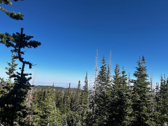 115 S OLYMPIC DR Brian Head, UT 84719