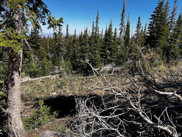 115 S OLYMPIC DR Brian Head, UT 84719