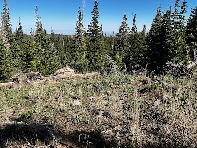 115 S OLYMPIC DR Brian Head, UT 84719