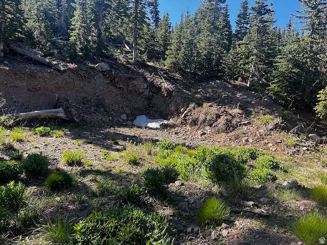 115 S OLYMPIC DR Brian Head, UT 84719