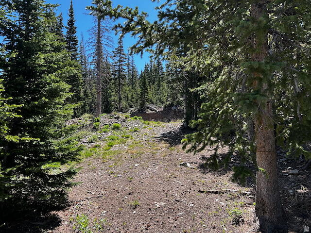 115 S OLYMPIC DR Brian Head, UT 84719