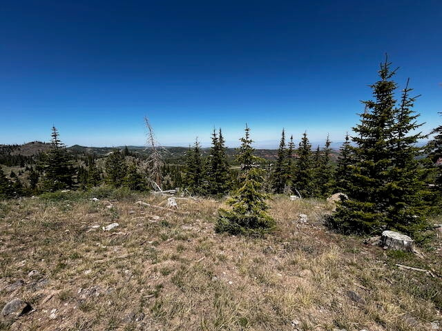 115 S OLYMPIC DR Brian Head, UT 84719