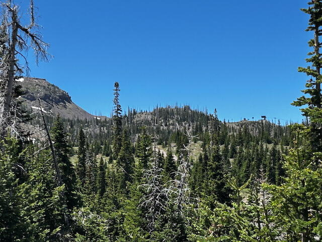 115 S OLYMPIC DR Brian Head, UT 84719