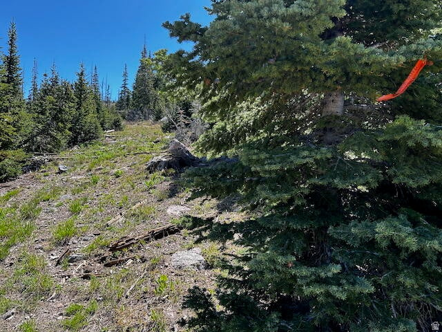 115 S OLYMPIC DR Brian Head, UT 84719