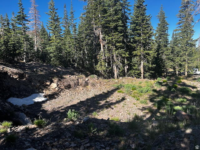 115 S OLYMPIC DR Brian Head, UT 84719