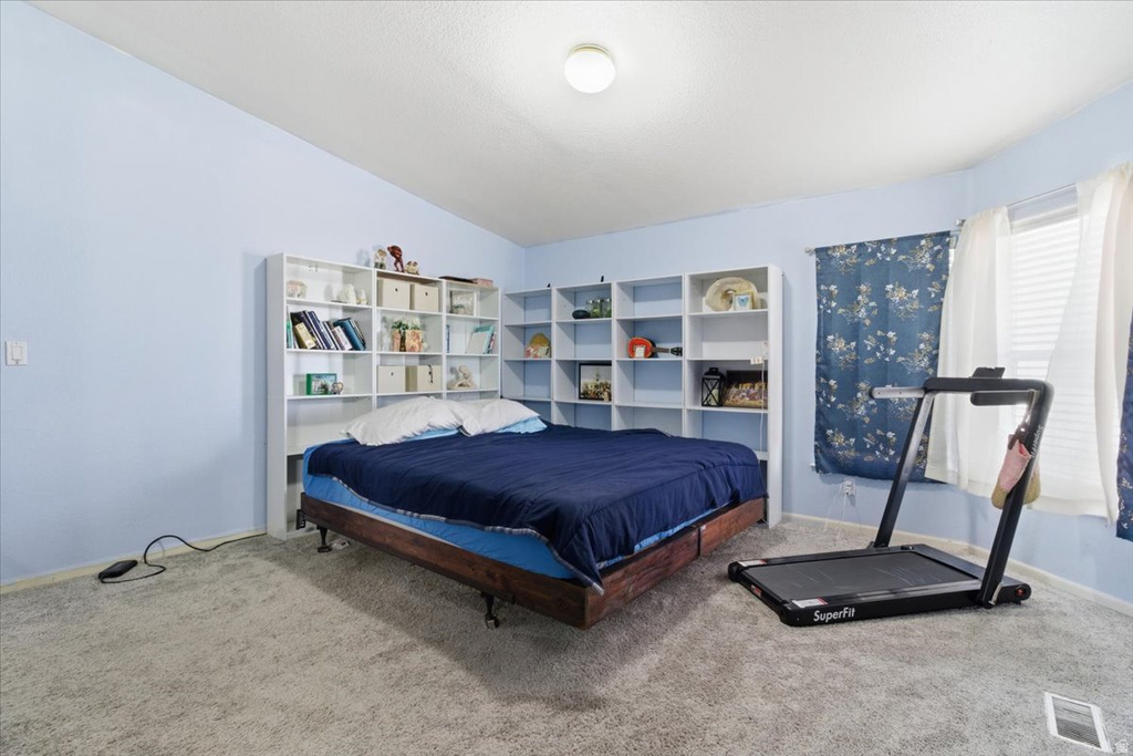 718 S 200 W Mt Pleasant, UT 84647