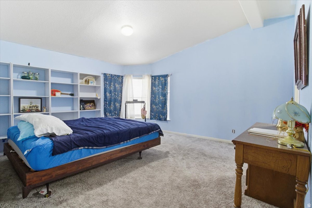 718 S 200 W Mt Pleasant, UT 84647