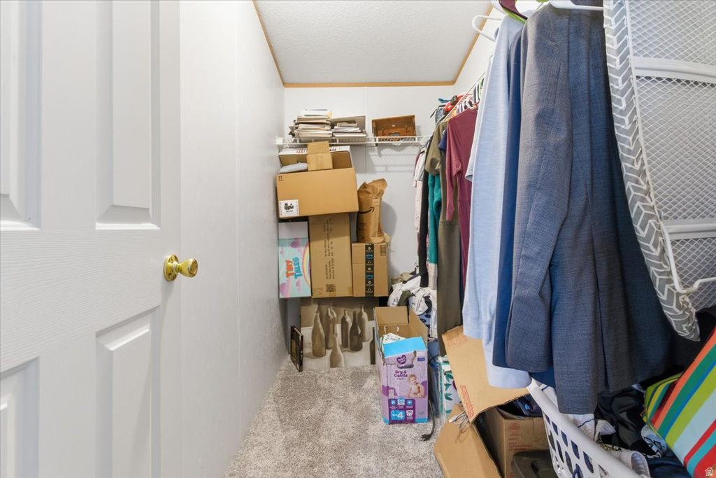 718 S 200 W Mt Pleasant, UT 84647