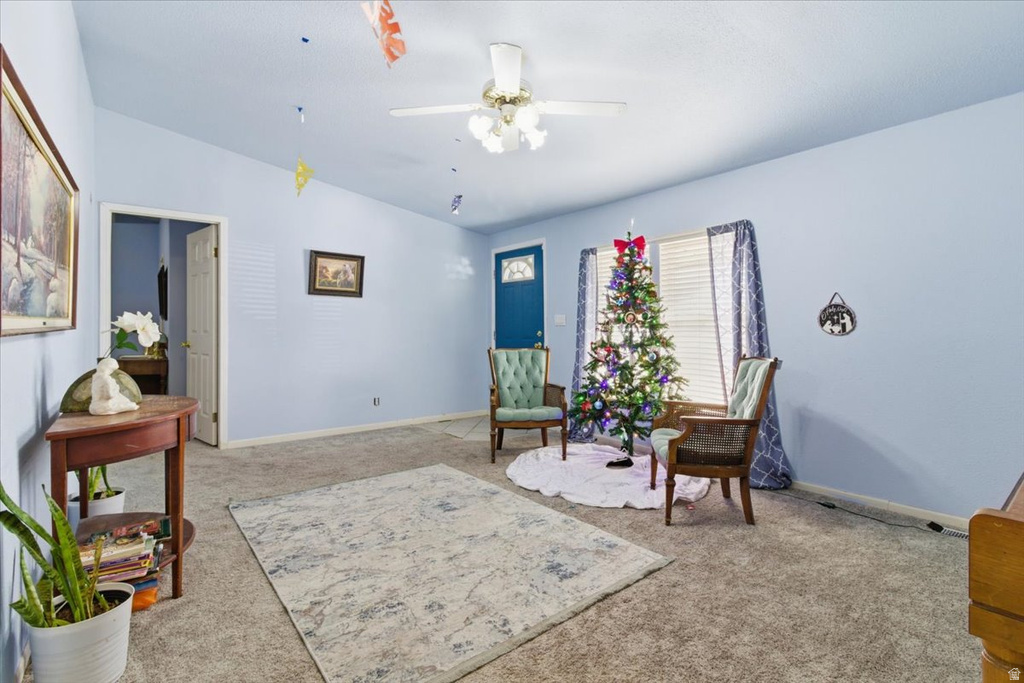 718 S 200 W Mt Pleasant, UT 84647