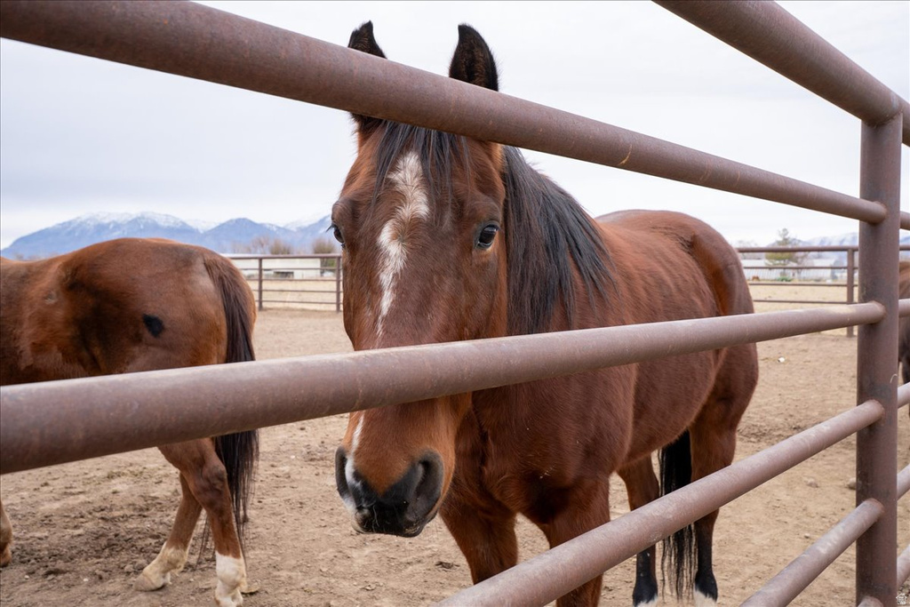 7702 S 3300 W Spanish Fork, UT 84660