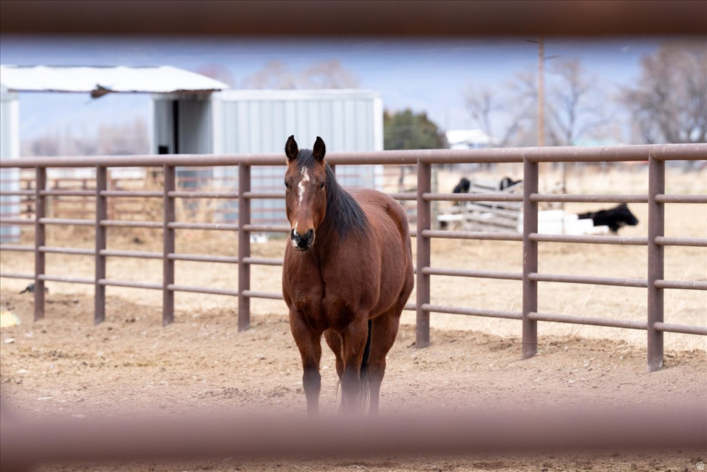 7702 S 3300 W Spanish Fork, UT 84660