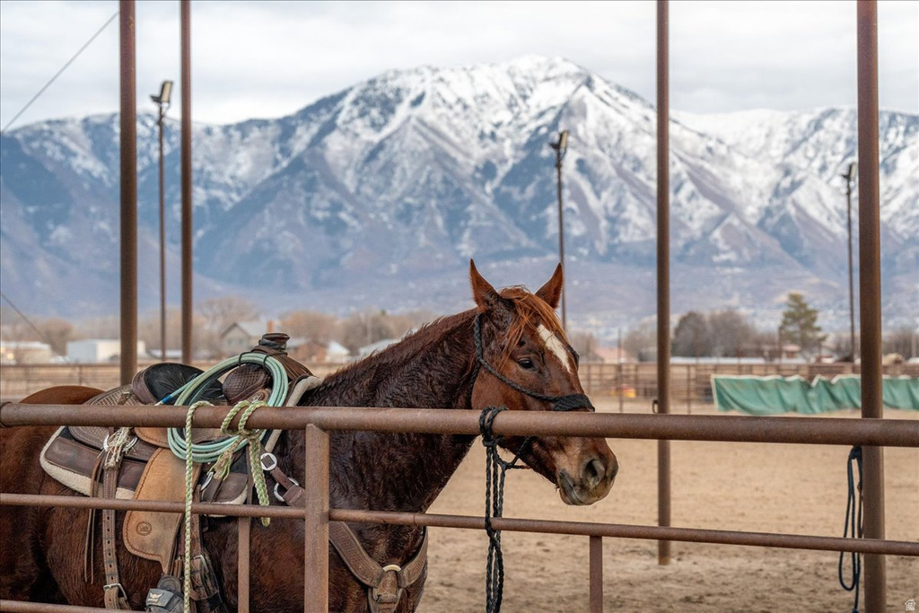 7702 S 3300 W Spanish Fork, UT 84660