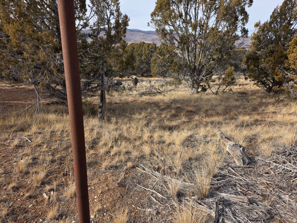 33385 N 9320 E Indianola, UT 84629