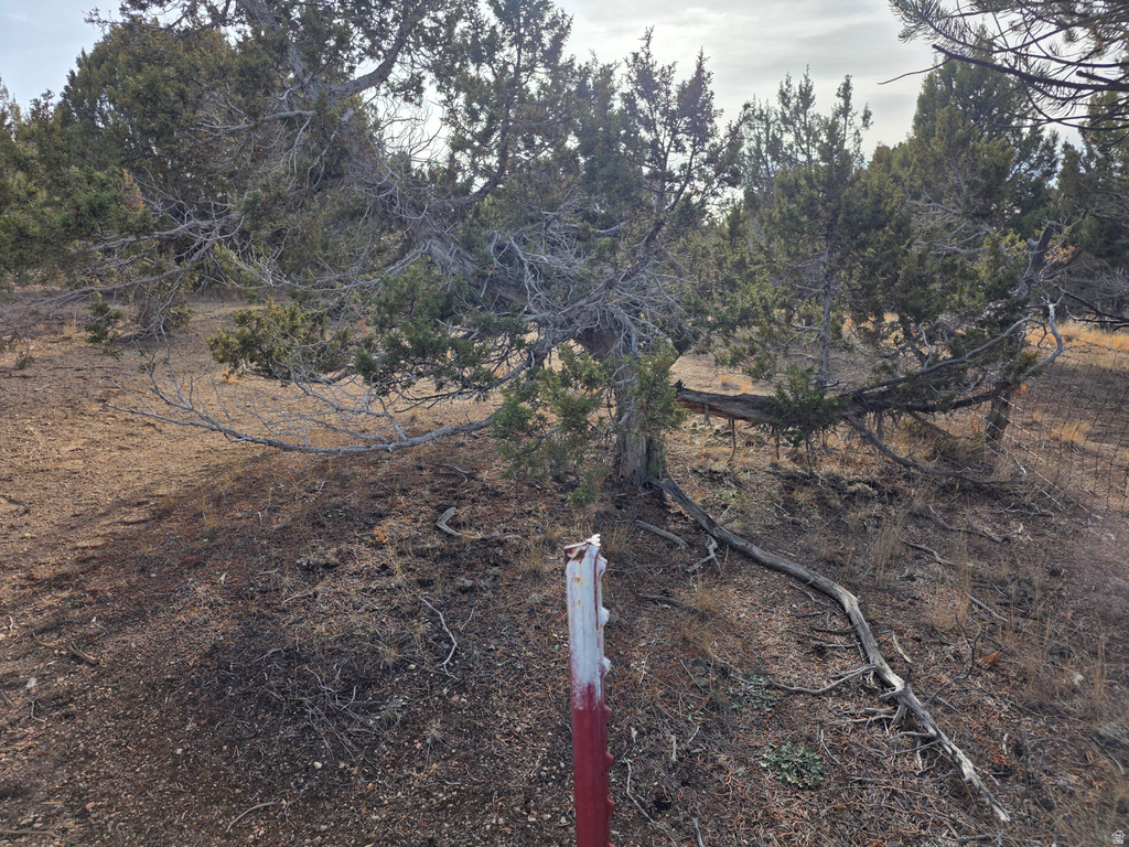 33385 N 9320 E Indianola, UT 84629