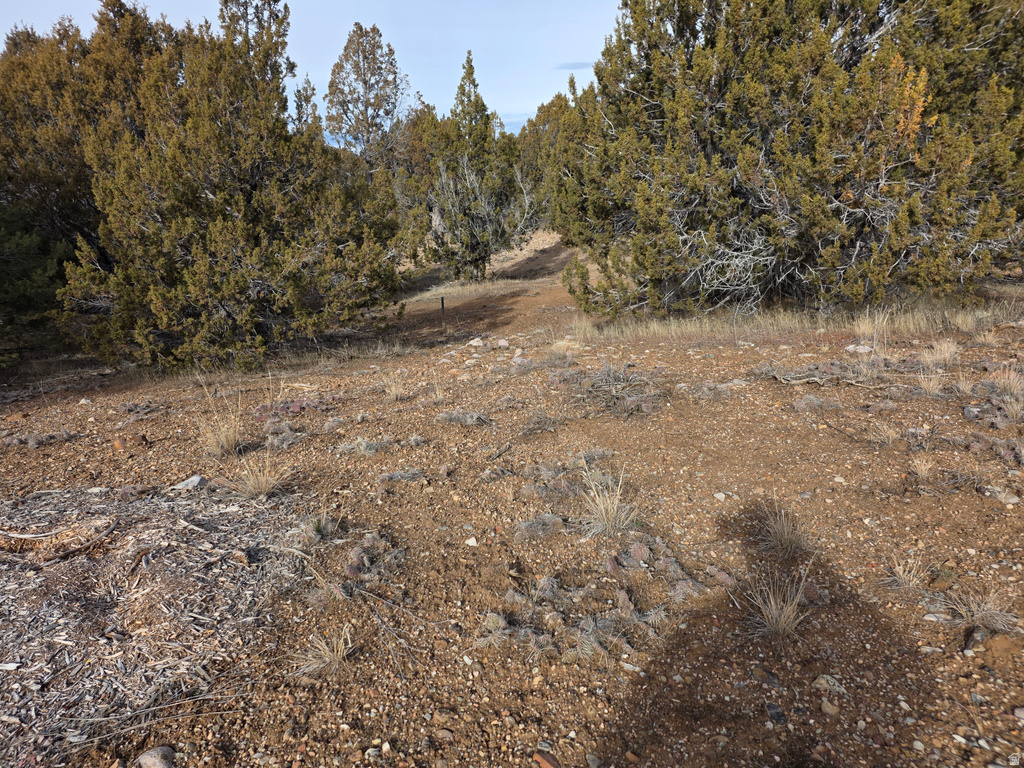 33385 N 9320 E Indianola, UT 84629